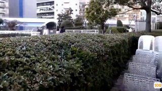 年龄不大妹子身材丰满自慰秀 床上用瓶子插逼逼还挺嫩微毛